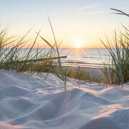 アパート White Pearl 1.06