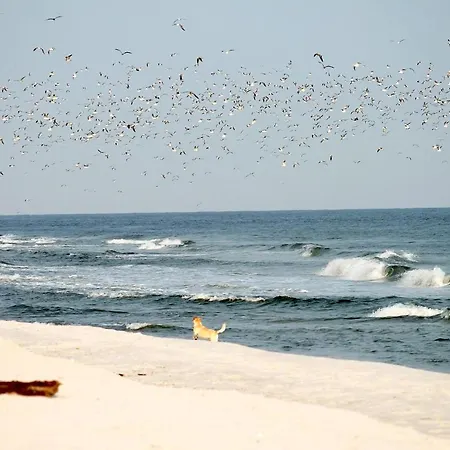 アパート White Pearl 1.06 *