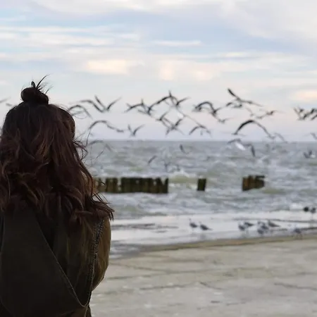 Lägenhet White Pearl 1.06