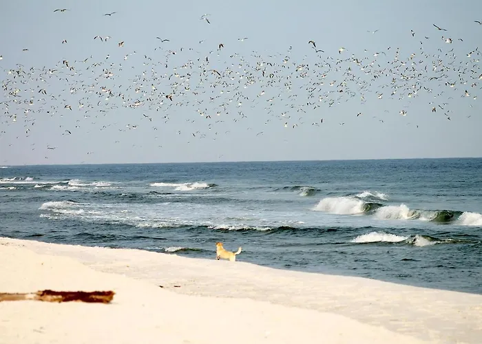 Apartamento White Pearl 1.06 *